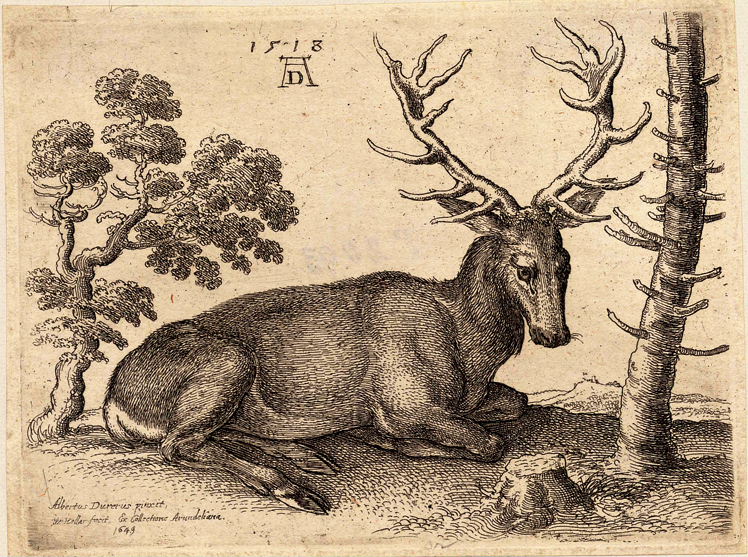   阿尔布雷特·丢勒Albrecht Dürer——素描与版画 (145)